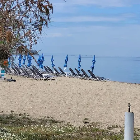 Theodoras House בית נופש *