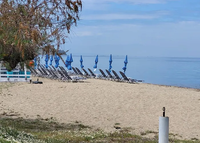 Theodoras House 度假居 *