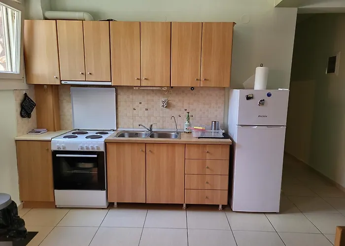 Theodoras House 度假居 尼亚米卡尼奥纳